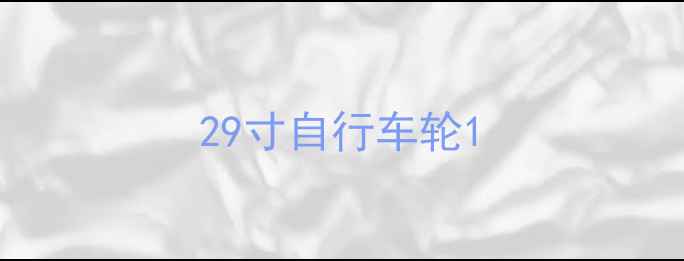 29寸自行车轮