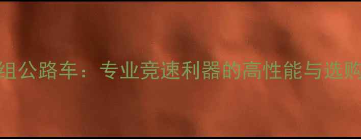 dt轮组公路车专业竞速利器的高性能与选购指南