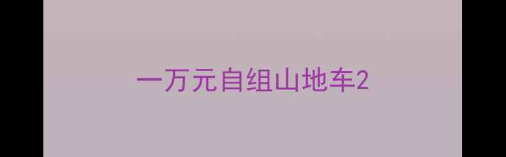 一万元自组山地车