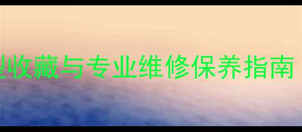 上海老自行车行复古车型收藏与专业维修保养指南含30年历史车型数据库