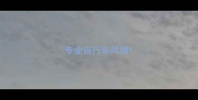 专业自行车风镜