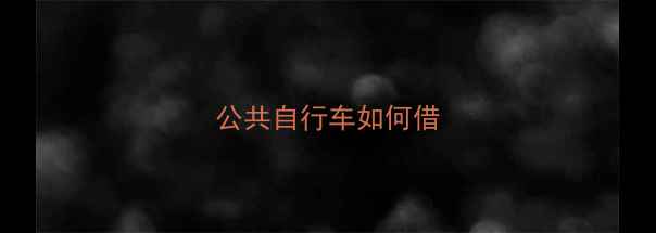 公共自行车如何借