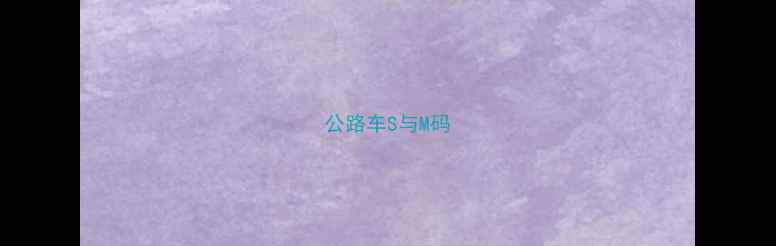 公路车S与M码