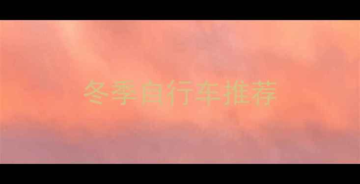 冬季自行车推荐