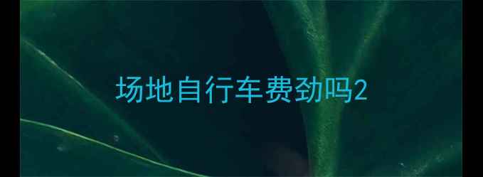 场地自行车费劲吗