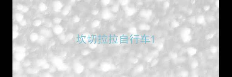 坎切拉拉自行车