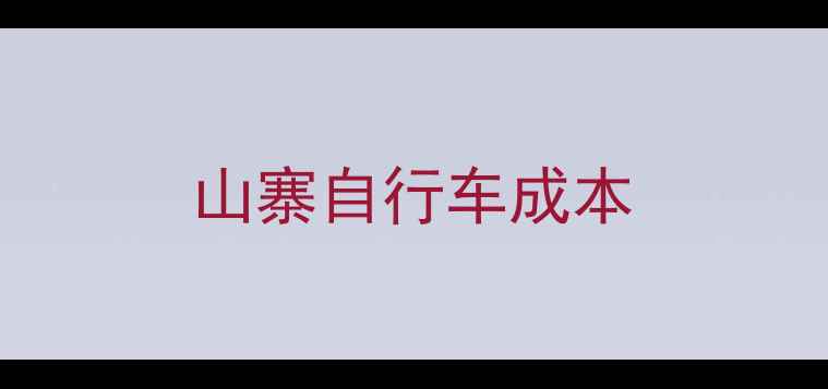 山寨自行车成本
