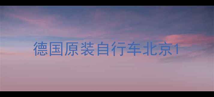 德国原装自行车北京