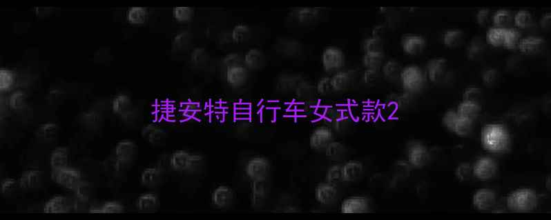 捷安特自行车女式款