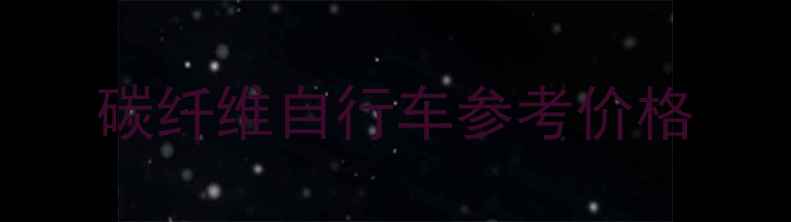 碳纤维自行车参考价格