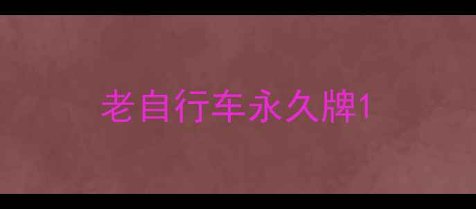 老自行车永久牌