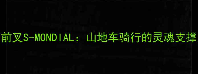 自行车前叉S-MONDIAL山地车骑行的灵魂支撑系统全