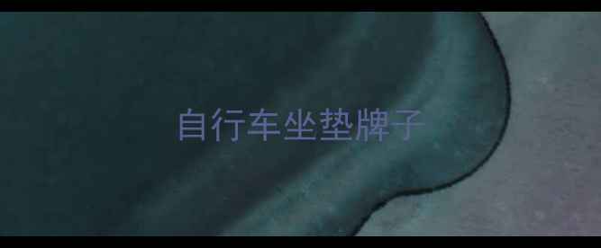 自行车坐垫牌子