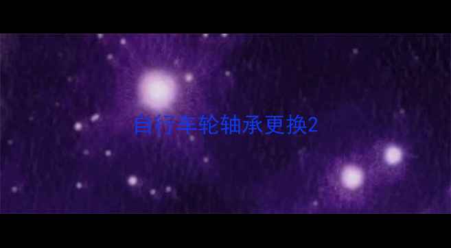 自行车轮轴承更换