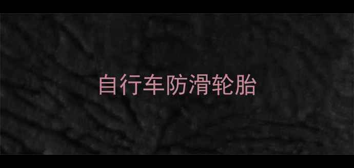 自行车防滑轮胎