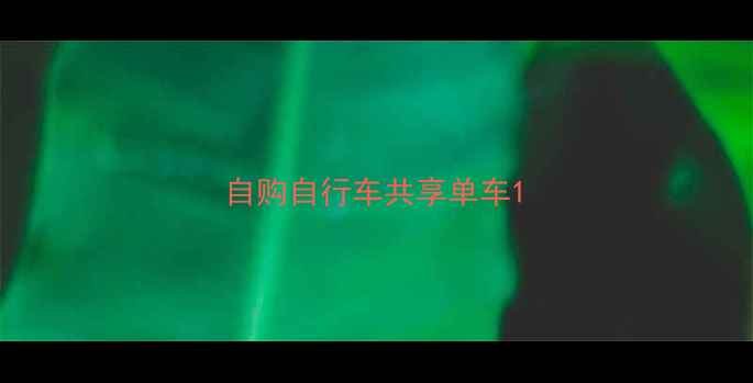 自购自行车共享单车