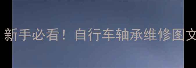 连体轴承拆卸全攻略新手必看自行车轴承维修图文教程附工具清单