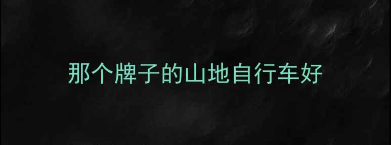 那个牌子的山地自行车好