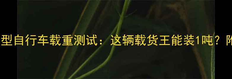 实测10款车型自行车载重测试这辆载货王能装1吨附避坑指南